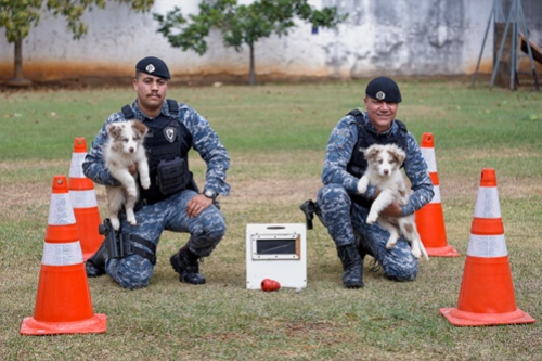 foto Not&iacute;cia São Caetano do Sul