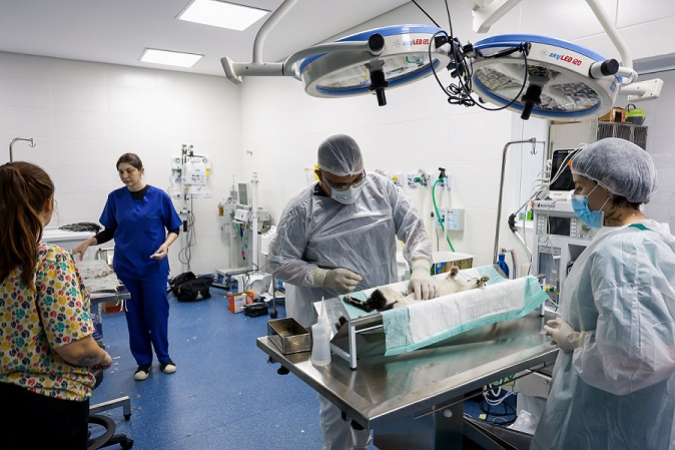 foto Not&iacute;cia São Caetano do Sul