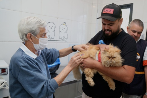 foto Not&iacute;cia São Caetano do Sul